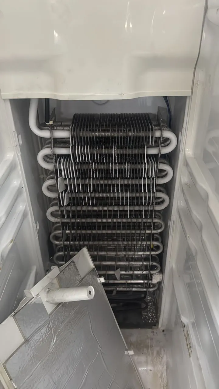 Experienced fridge cooling system repair service