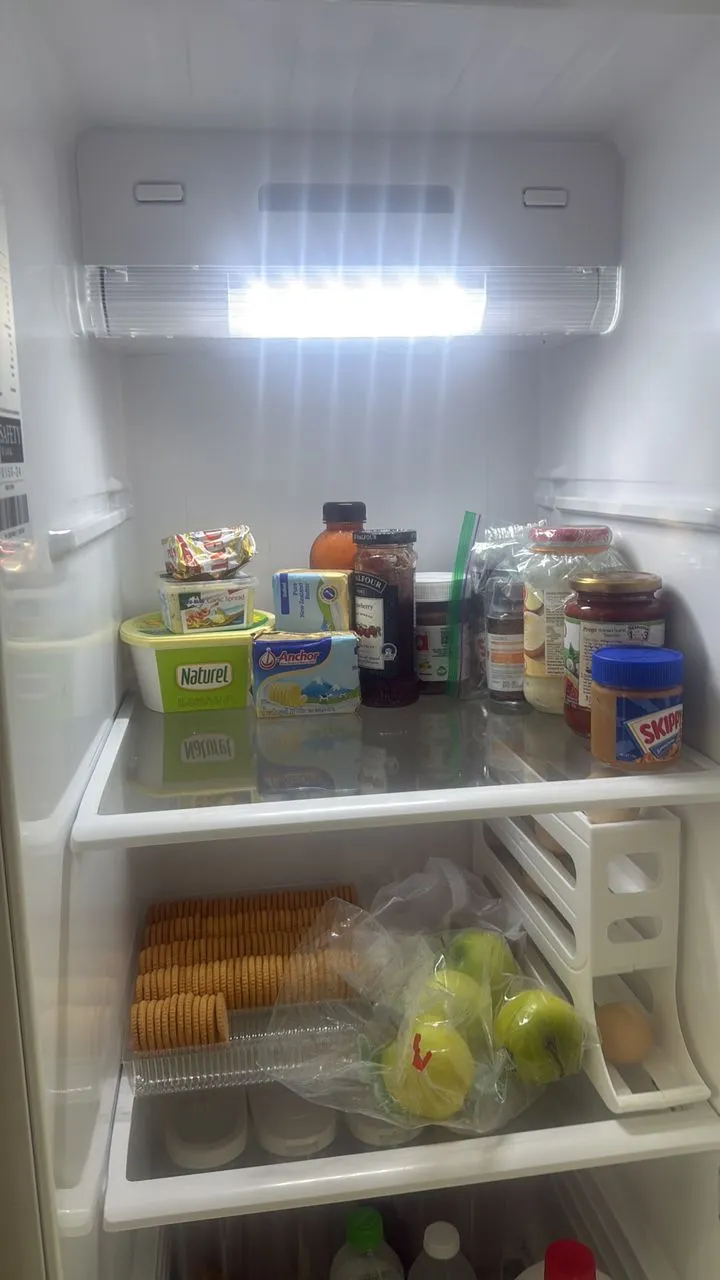 Fridge compressor repair service