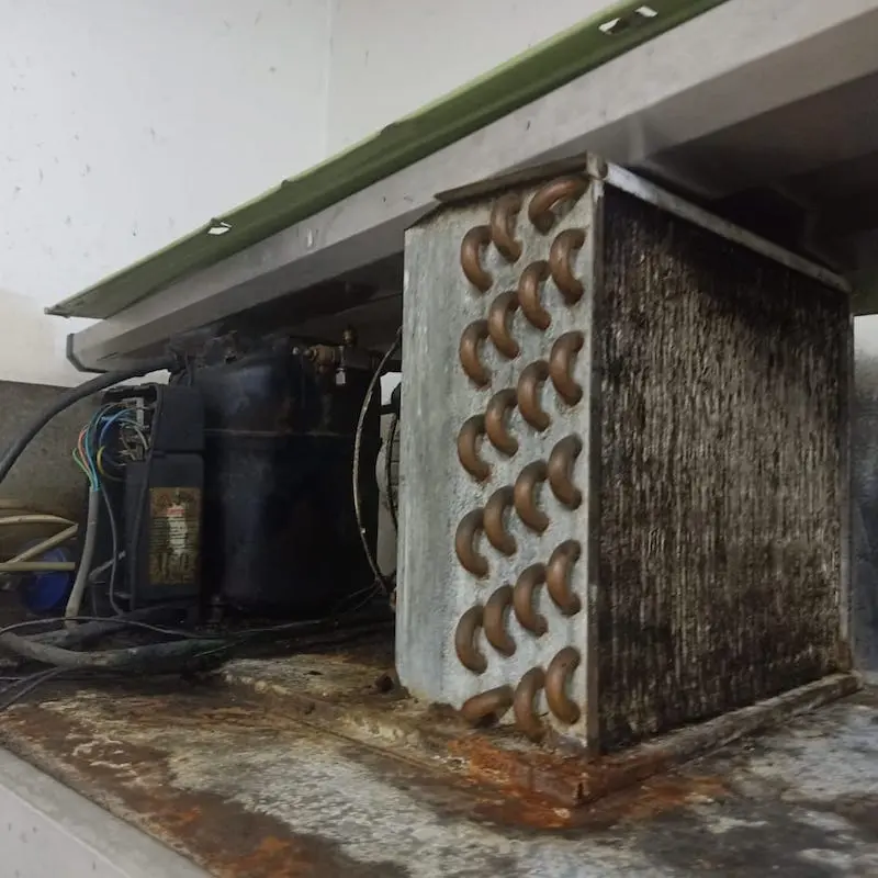 Restaurant freezer maintenance project